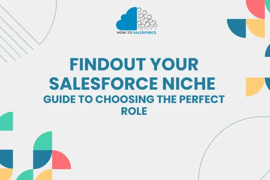 Findout Your Salesforce Niche