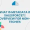 What is Metadata in Salesforce?