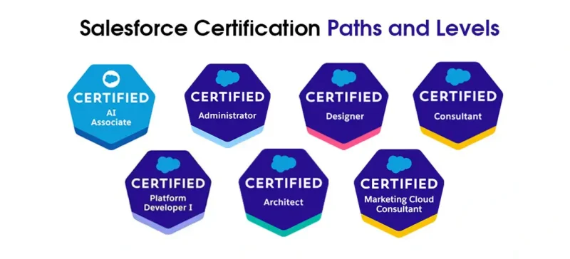 Salesforce Developer Certification Cost